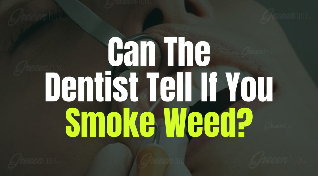 Can The Dentist Tell If You Smoke Weed