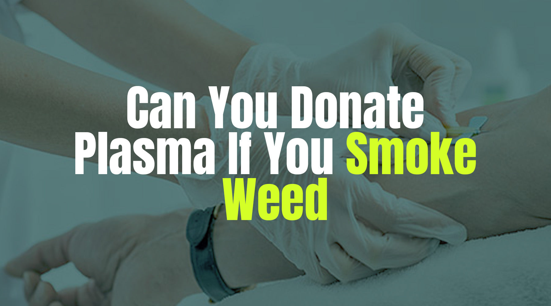 Can You Donate Plasma if You Smoke Weed? | Greeen Box