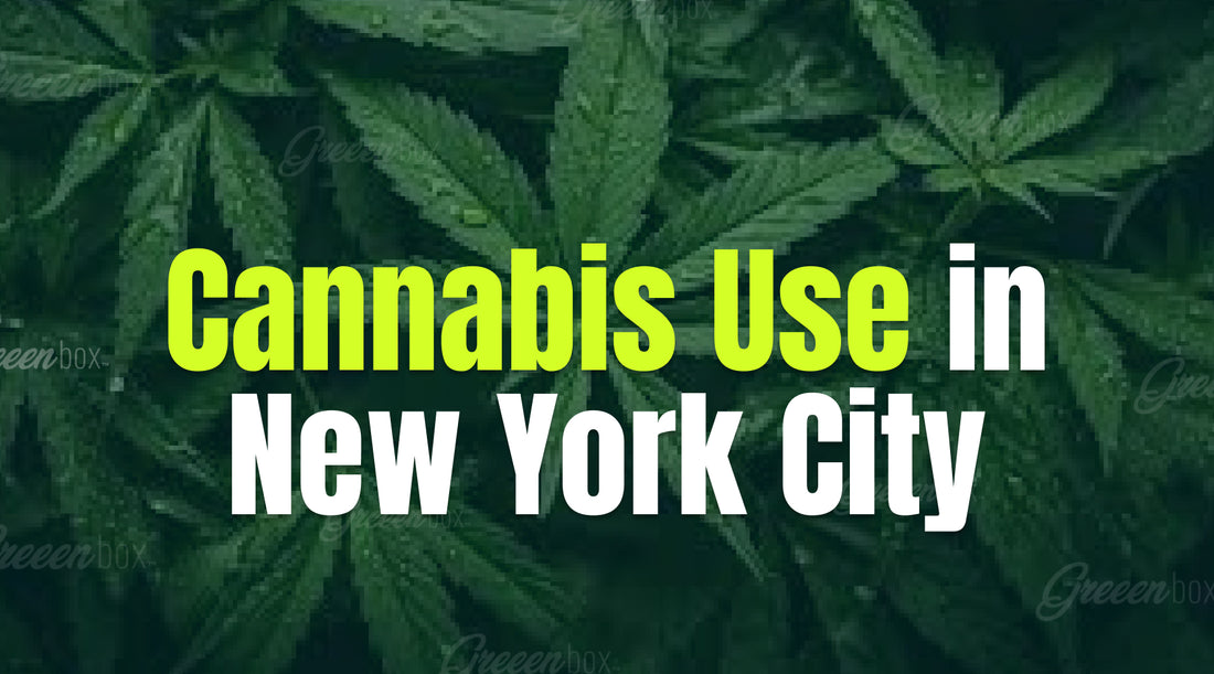 Cannabis Use in New York City