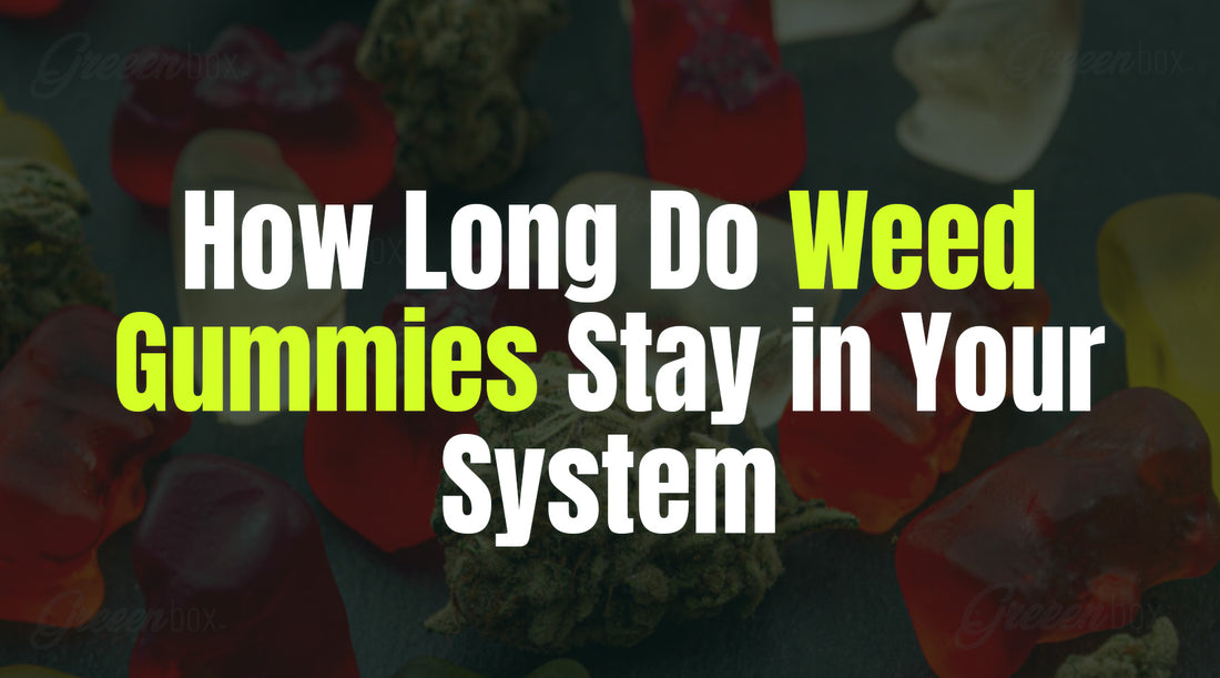 How Long Do Weed Gummies Stay in Your System?