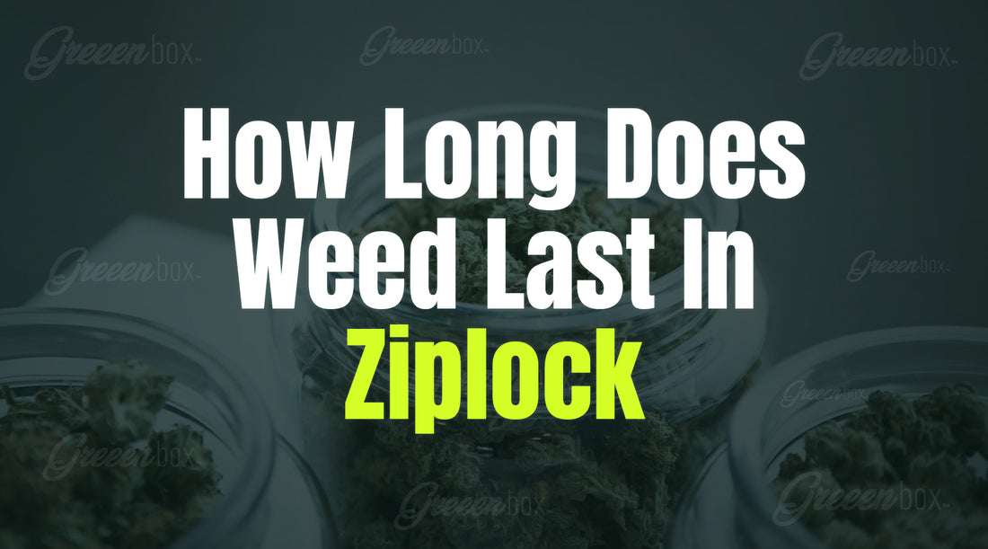 How Long Does Weed Last In Ziplock