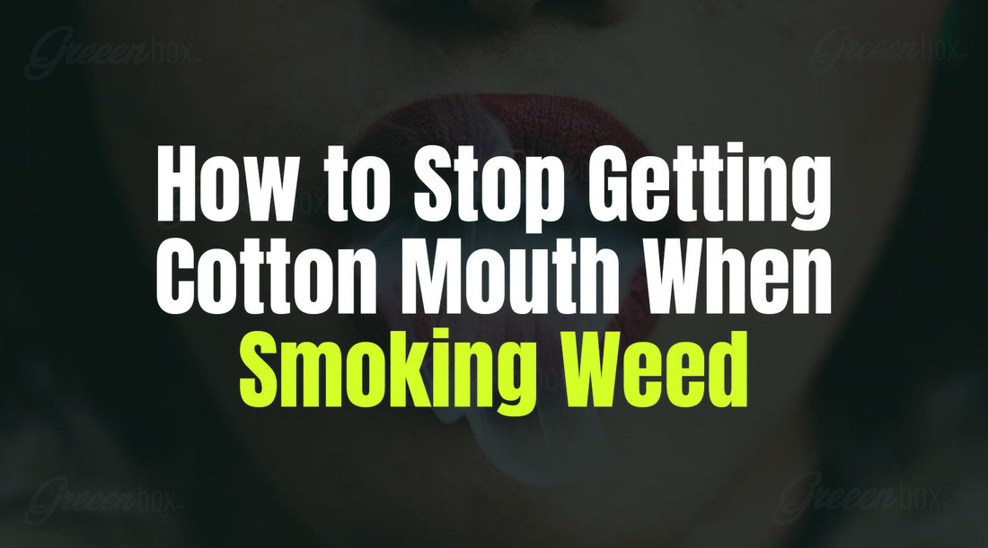 How To Stop Getting Cotton Mouth When Smoking Weed?