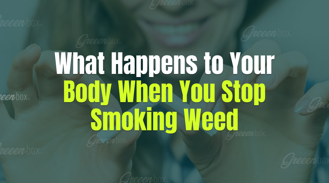 What Happens To Your Body When You Stop Smoking Weed?