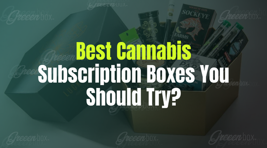 Best Cannabis Subscription Boxes You Should Try?