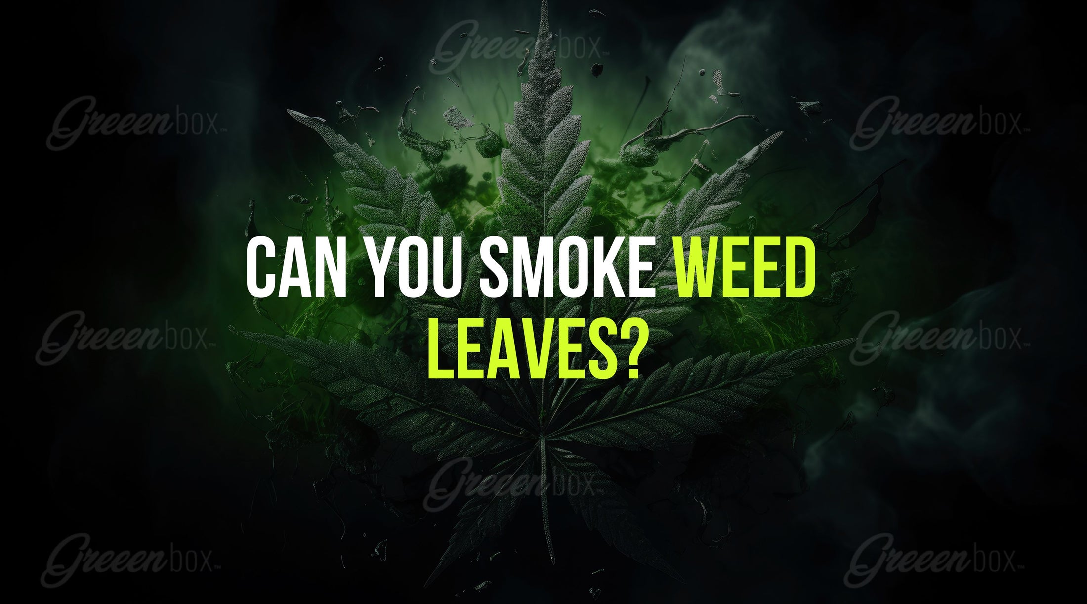 Can You Smoke Weed Leaves? - Greeen Box - Can You Smoke Weed Outside In Minnesota