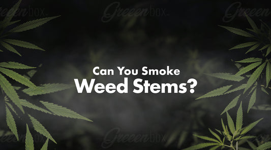 Can You Smoke Weed Stems