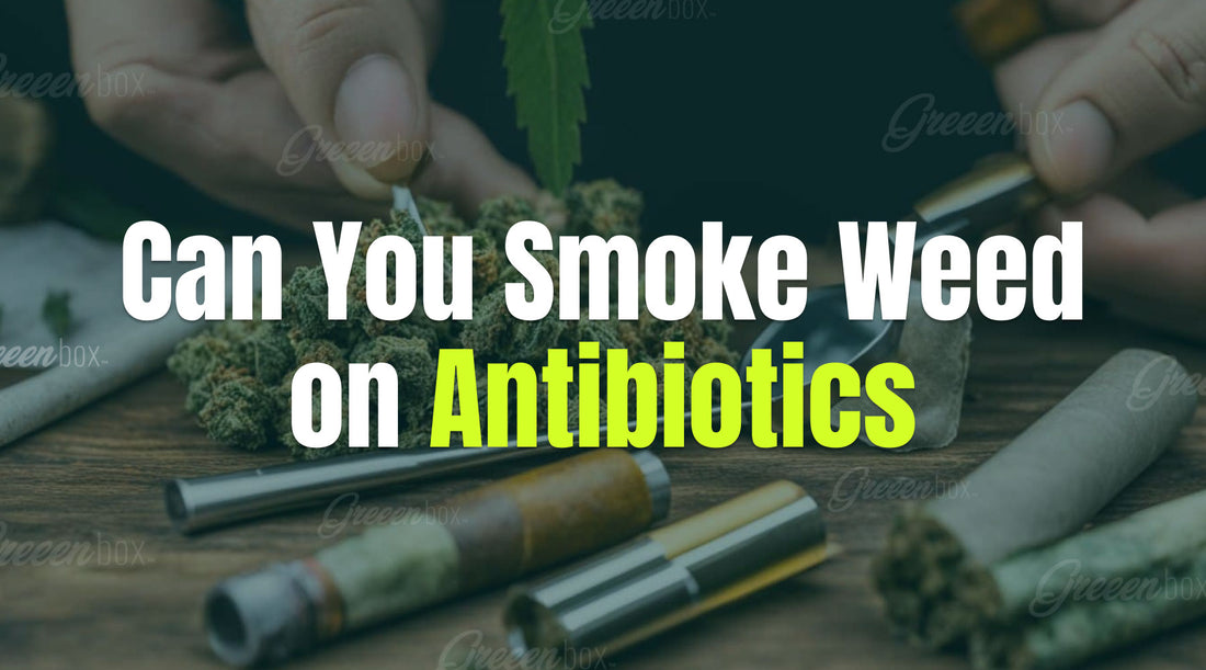 Can You Smoke Weed on Antibiotics