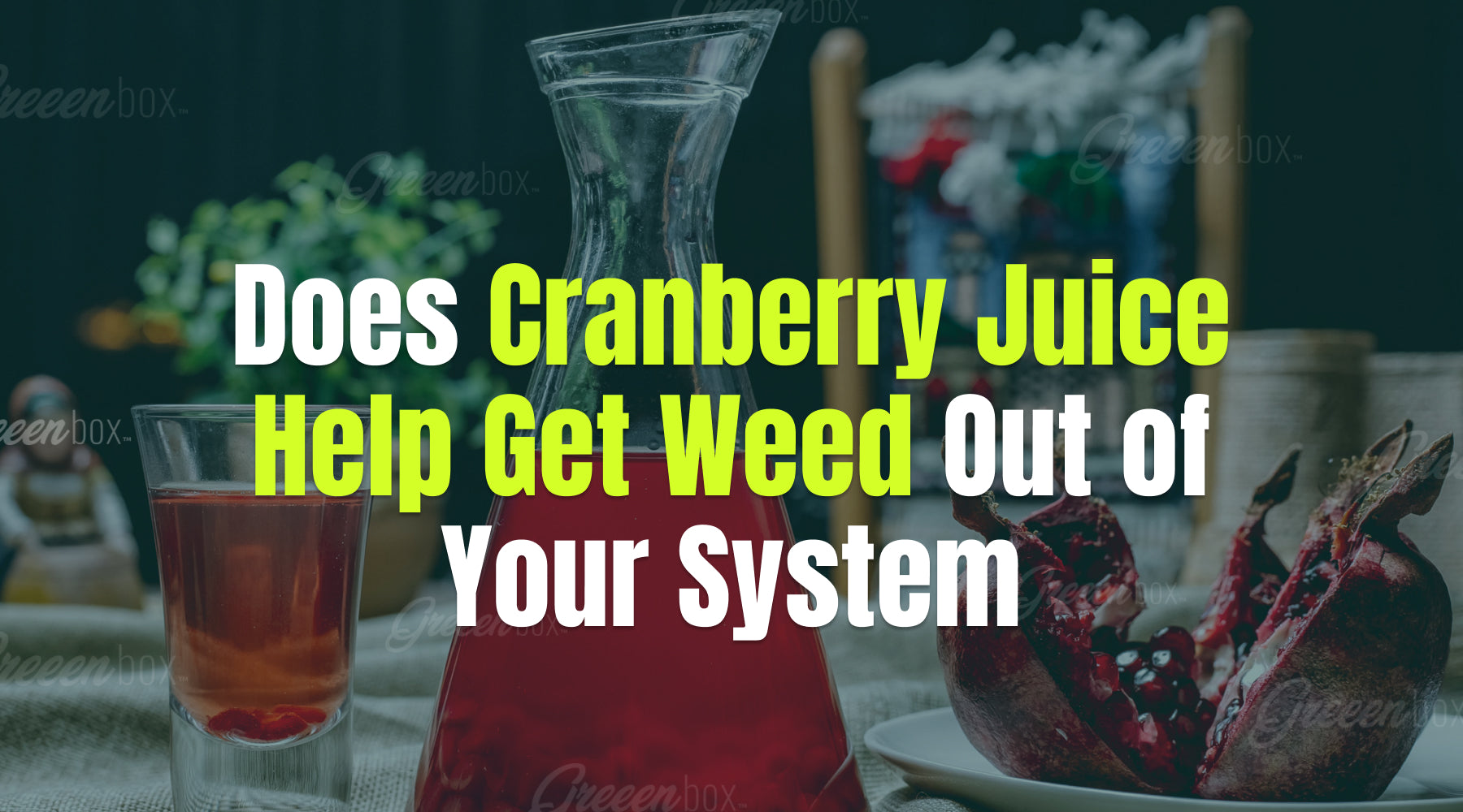 Does Cranberry Juice Help Get Weed Out of Your System? Greeen Box