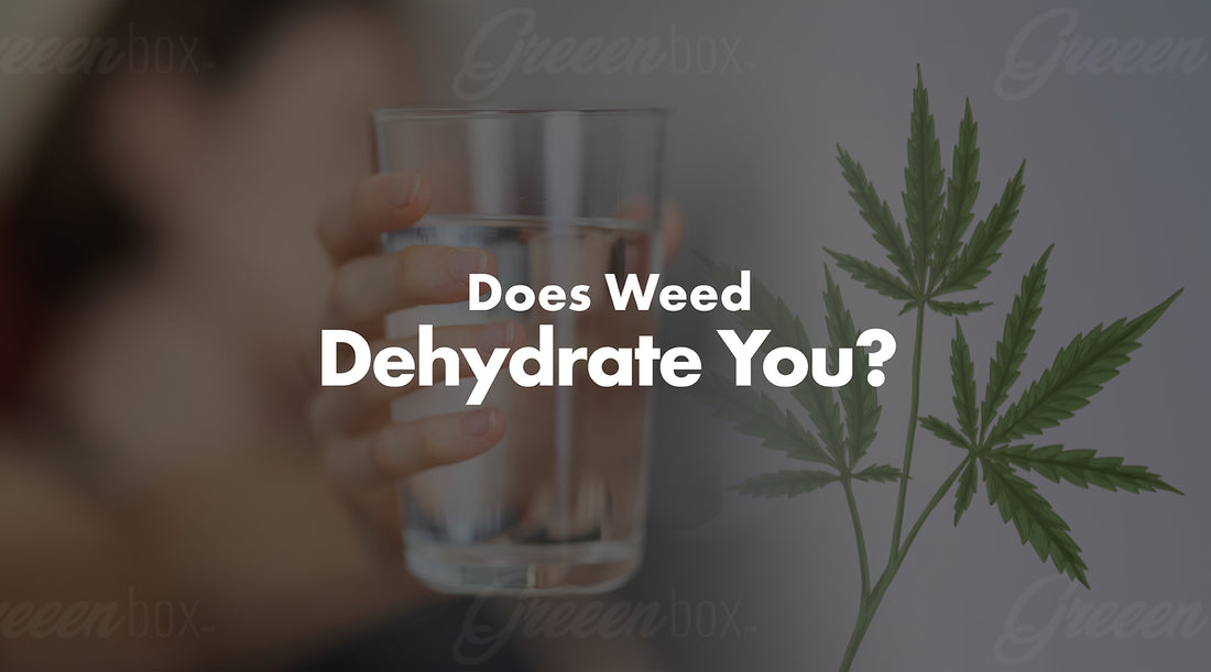 Does Weed Dehydrate You
