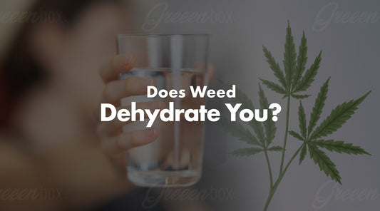 Does Weed Dehydrate You