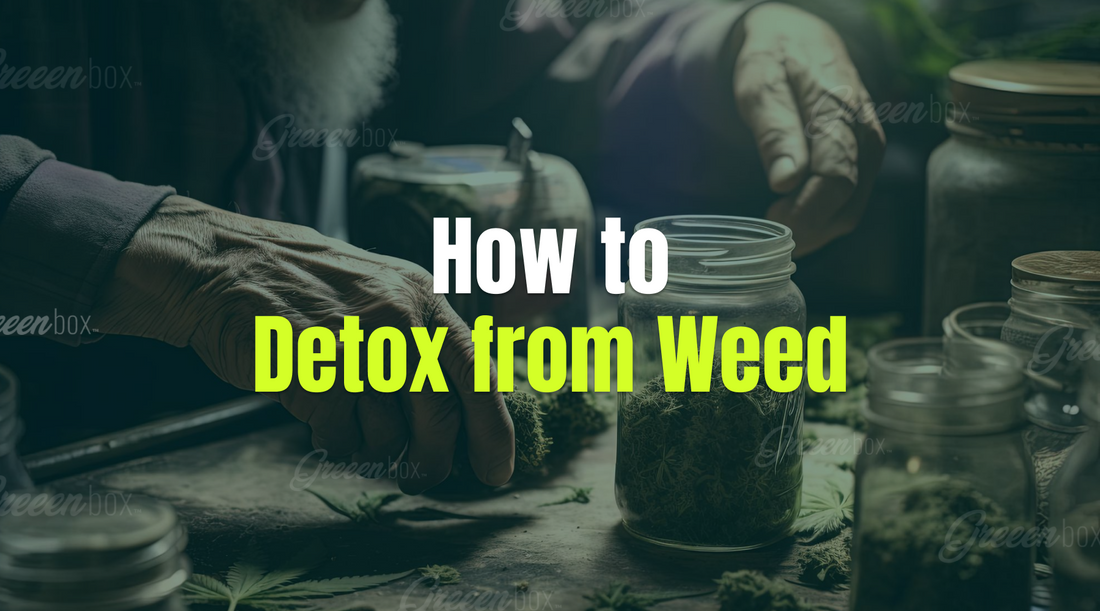 How To Detox From Weed?