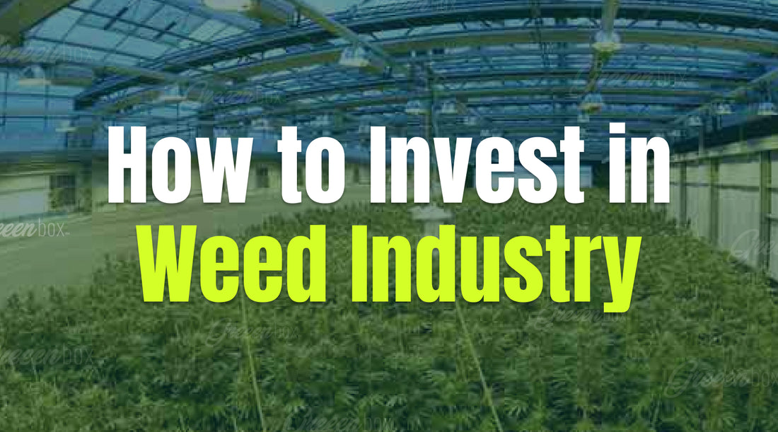 How to Invest in the Weed Industry?