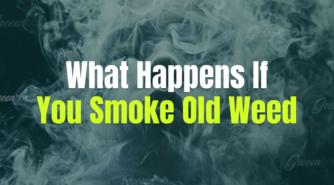 What Happens If You Smoke Old Weed